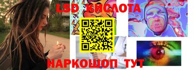 винт Новокубанск
