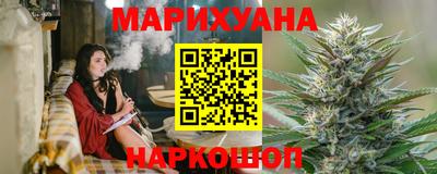 прущие грибы Новозыбков