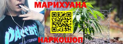 прущие грибы Новозыбков