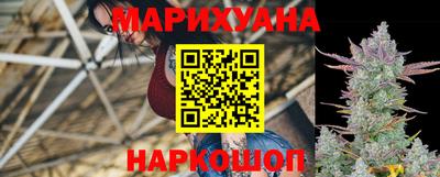 прущие грибы Новозыбков