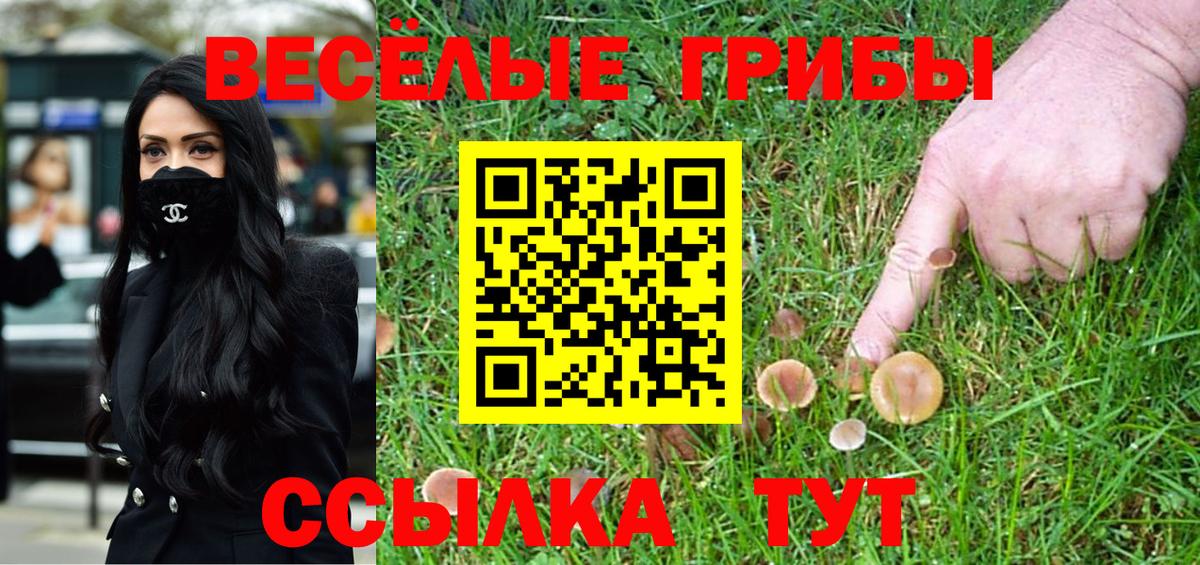 Галлюциногенные грибы Cubensis  Галлюциногенные грибы мицелий  Вход с VPN  Сорочинск 